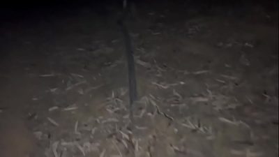 Jungle chudai of Indian collage girl.. came for exam..